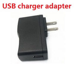 C127 110V-240V AC Adapter for USB charging cable