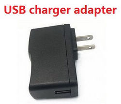 Hisky HCP80 FBL80 MCPX 110V-240V AC Adapter for USB charging cable