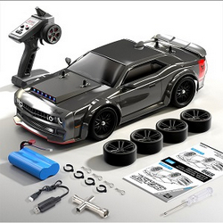 ZLL Beast SG216MAX RC Car with 1 battery RTR