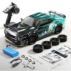ZLL Beast SG216PRO RC Car with 1 battery RTR